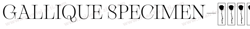GALLIQUE SPECIMEN字体转换